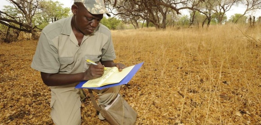 A Namibian game guard filling in his event book.